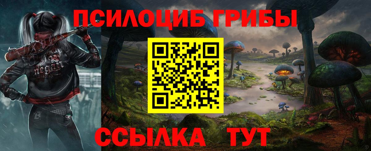 Борзя  Галлюциногенные грибы Psilocybe  Вход с VPN  купить  цена  Псилоцибиновые грибы мухоморы 